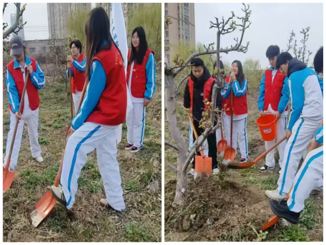 3aece9b6f98ff46a373cac8c504019da